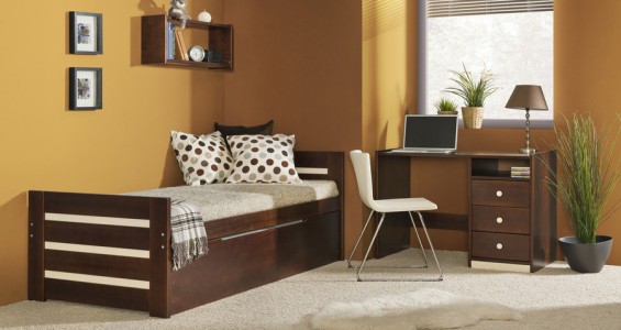 dave children bed frame